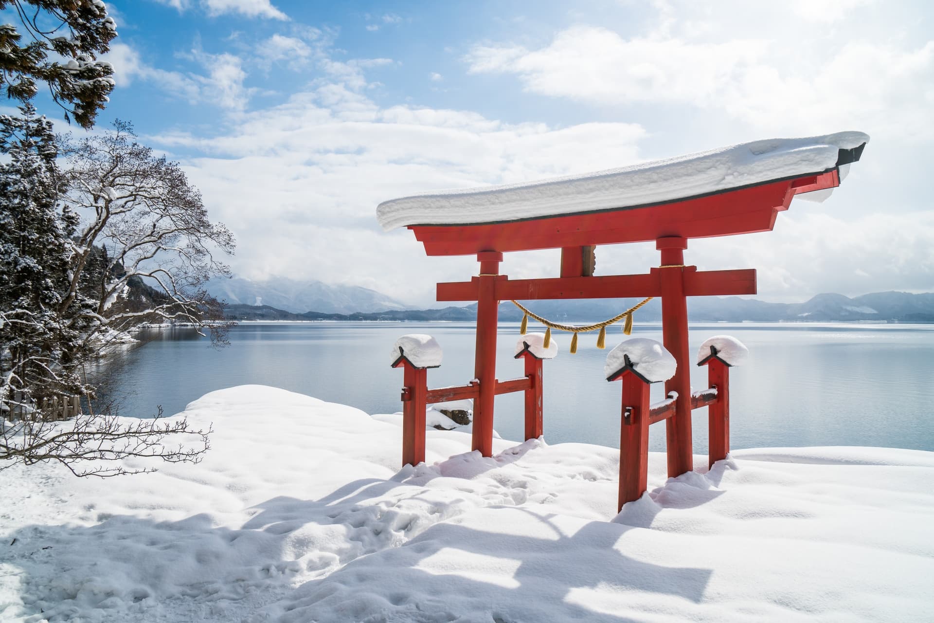 Winter in Japon: The Best Activities to Experience