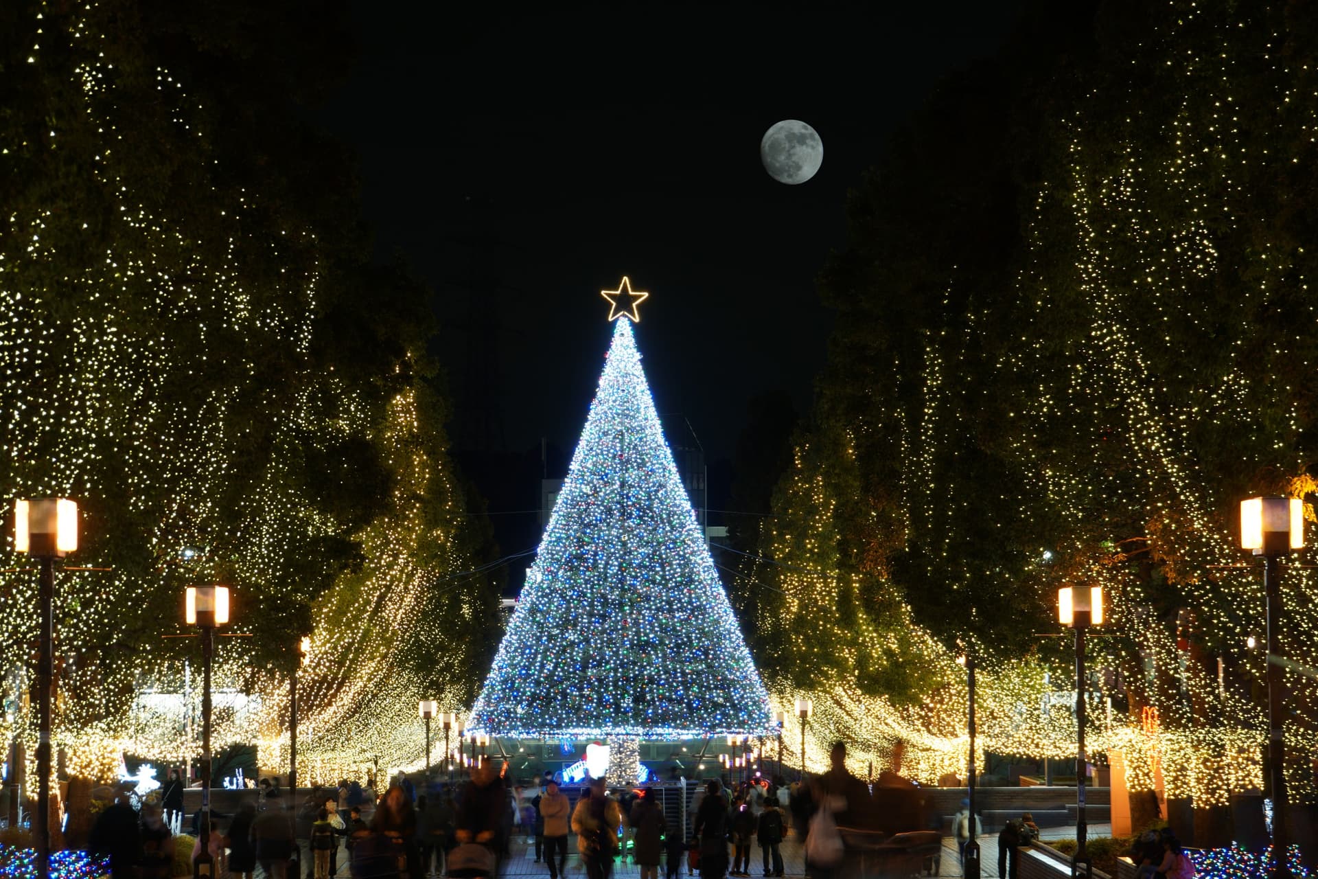 Christmas in Tokyo: Where to See the Illuminations?