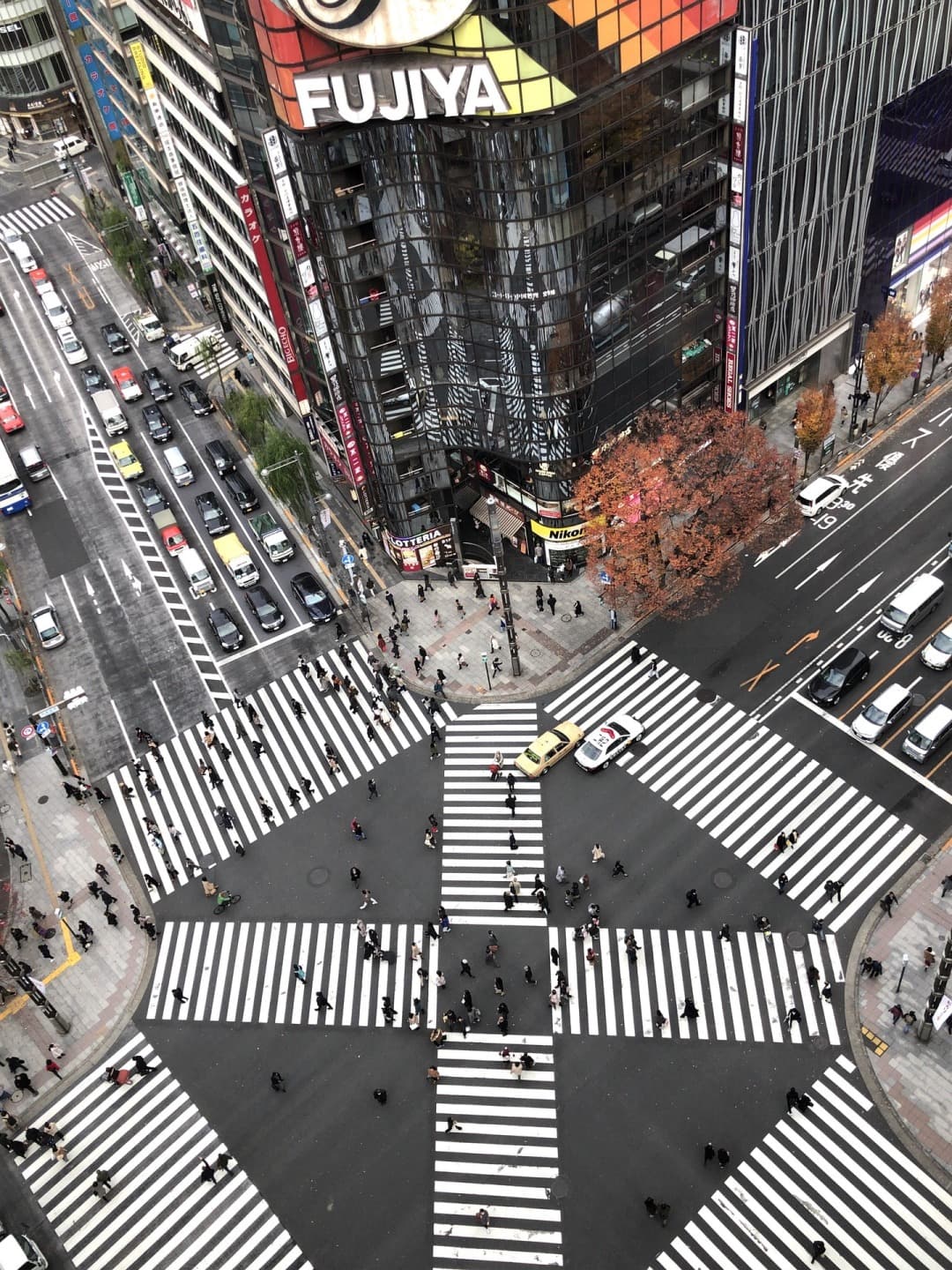 Ginza, Tokyo's Chic District!