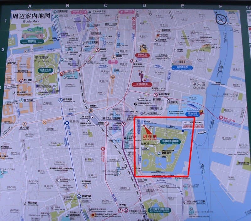 Visiting Hama Rikyu Park in Tokyo