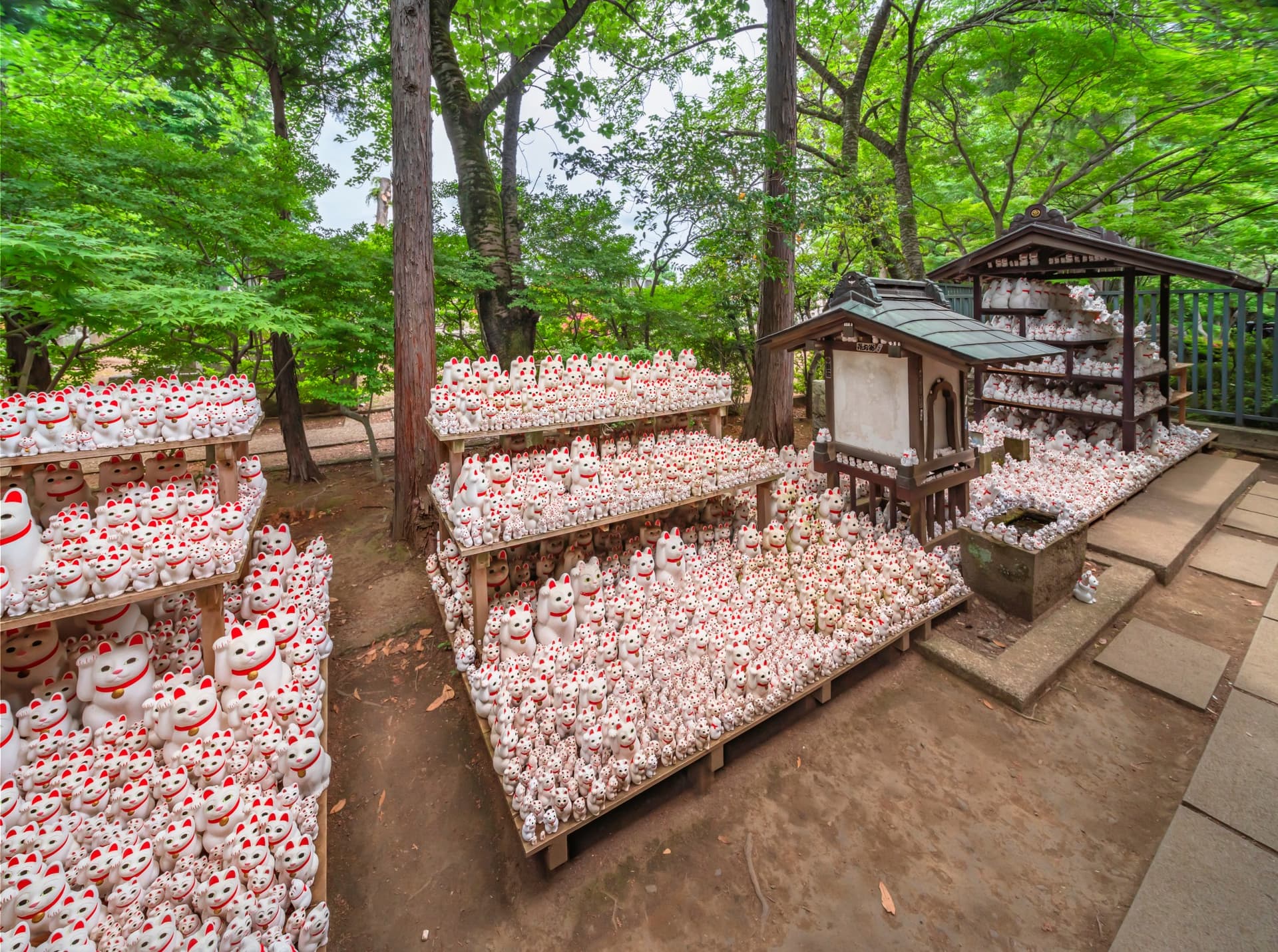 These Unusual Temples and Shrines Not to Miss in Tokyo