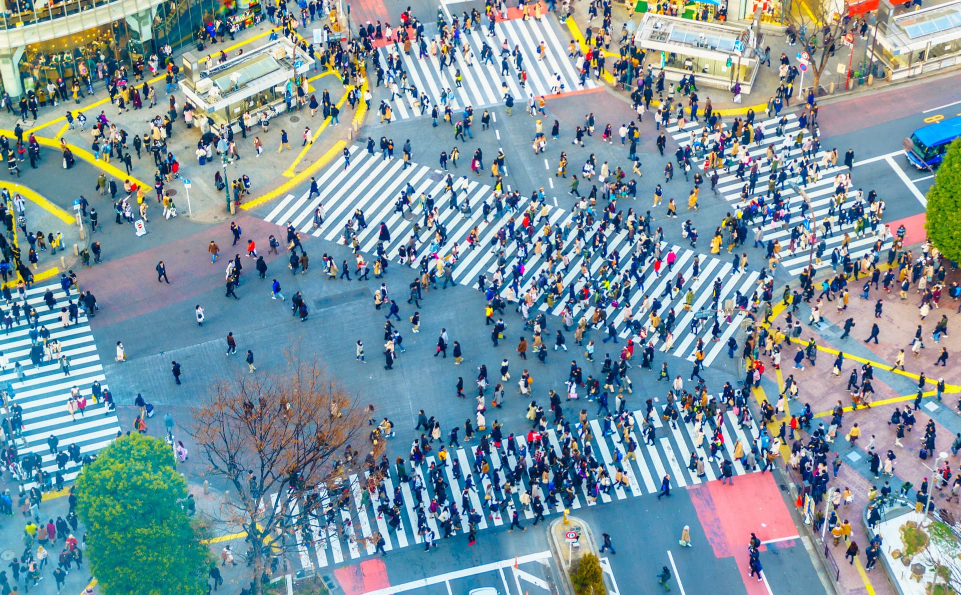 Japan's Demographics
