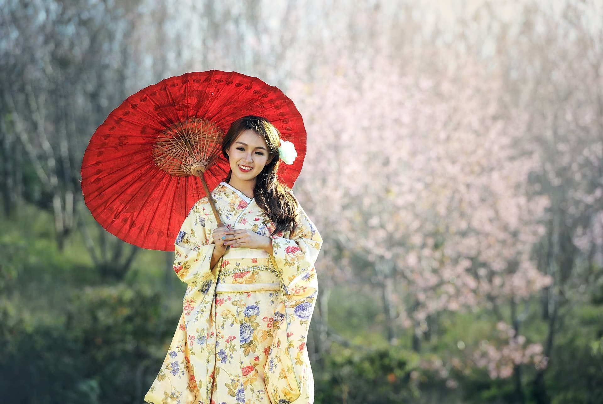Discover What to Visit in Kyoto in Video (5 minutes)