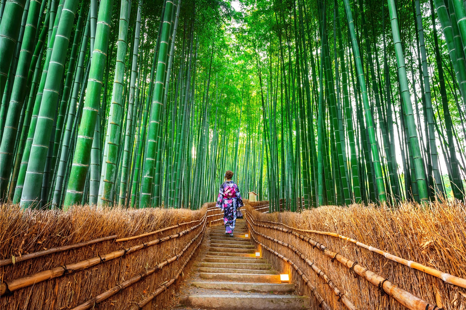 Mount Arashiyama