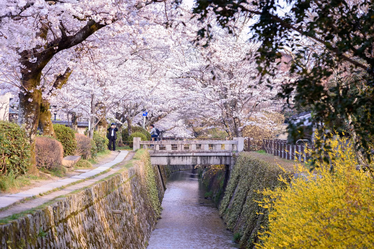 In the Land of the Rising Sun